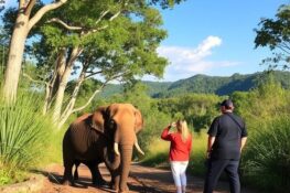 Best Wildlife Encounters Camp and Career Wonders in 2025