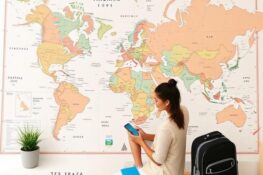 How to Plan Travel With Limited Internet Connection Android Access