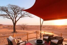 The Rise of Luxury Desert Safari Tours in African Vacations