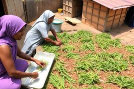 How Community Based Interventions Boost Local Economic Recovery